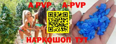 герыч Кингисепп