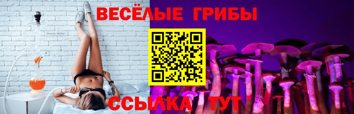 Кирово-Чепецк  Псилоцибиновые грибы Psilocybe  Вход с VPN 